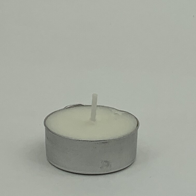 Symple Stuff Unscented Tealight Candle Wayfair Co Uk